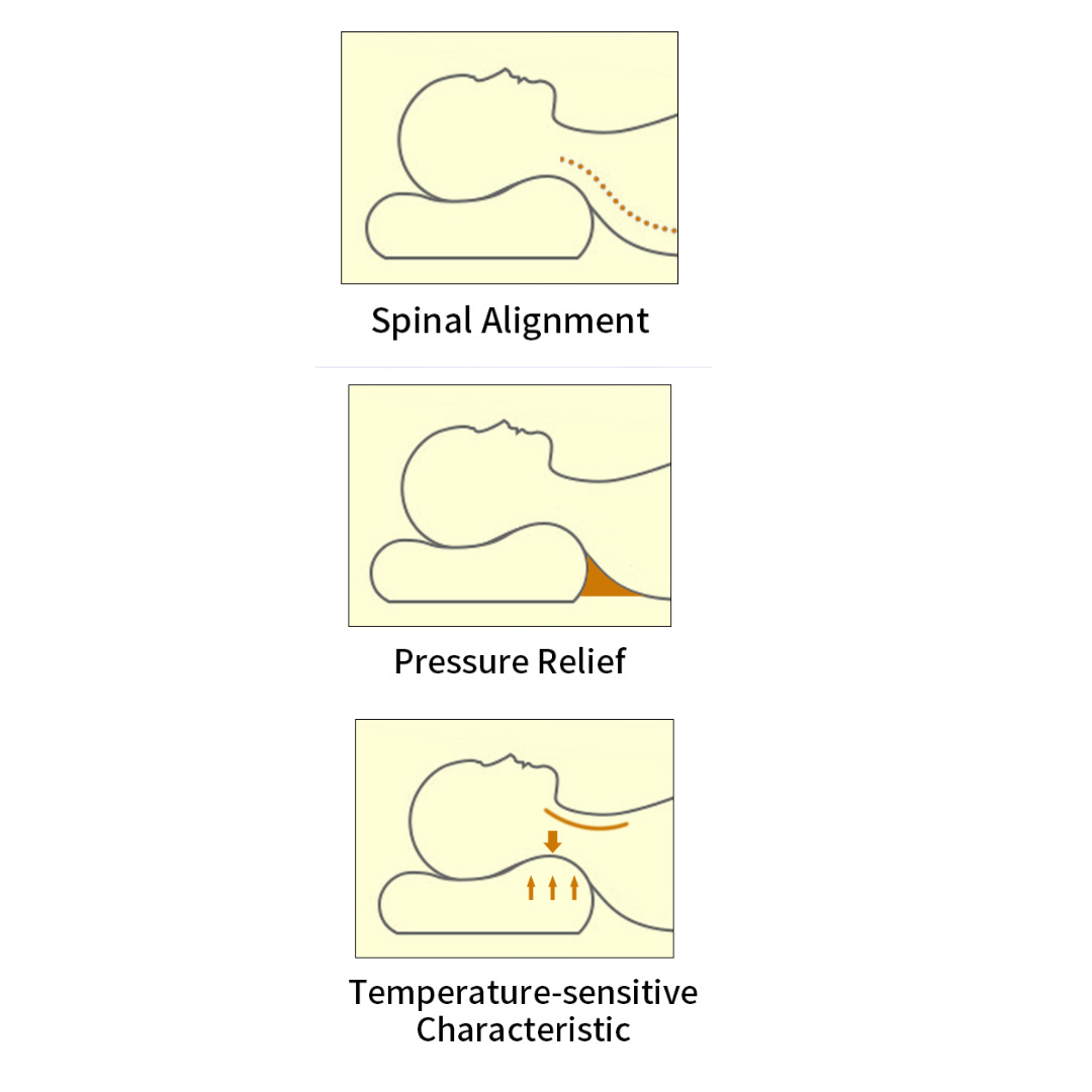 Contour Memory Foam Pillow