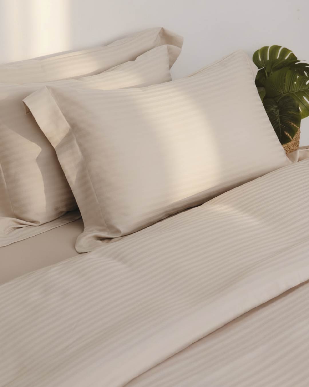 Striped 100% Cotton 300 TC