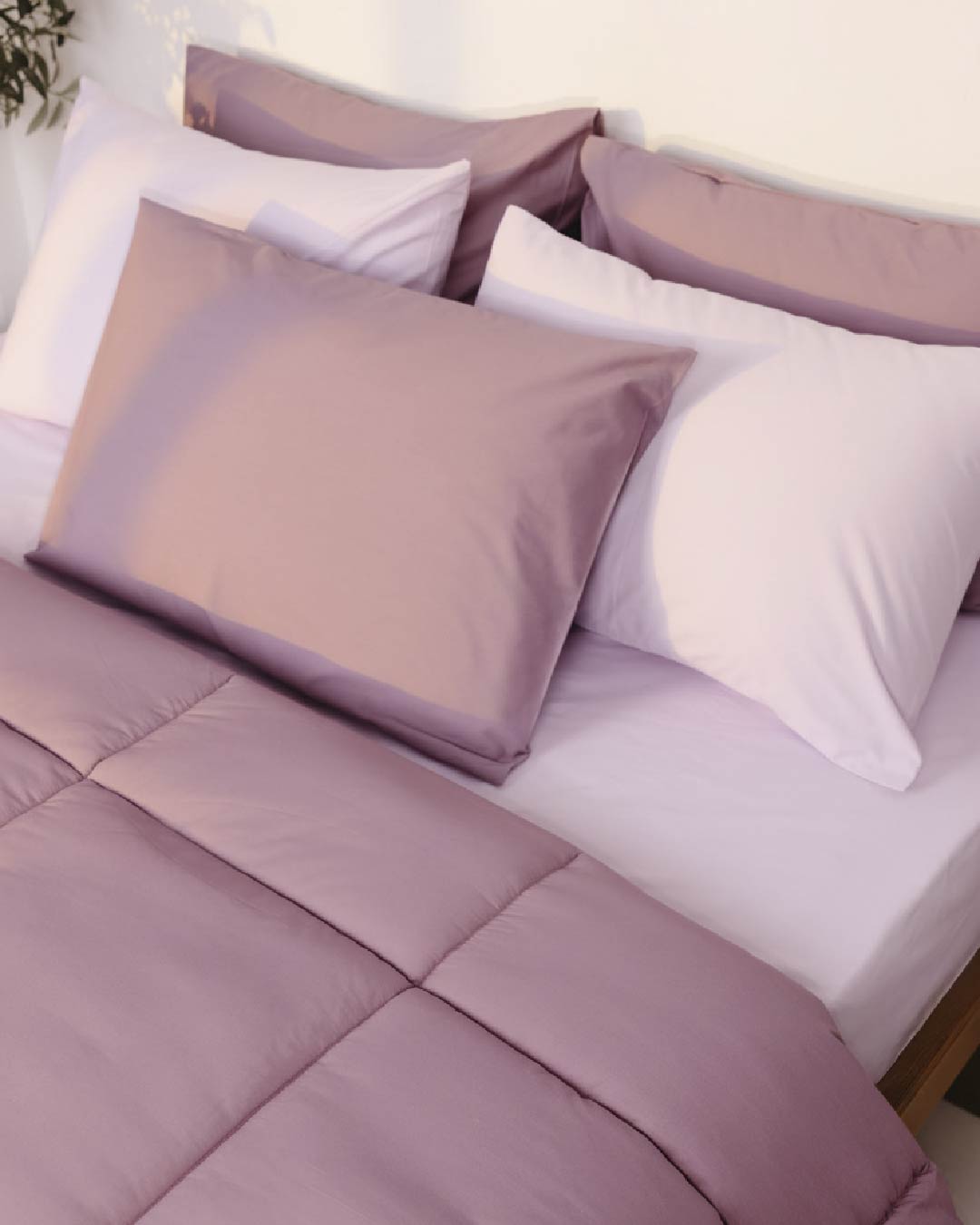Egyptian Cotton Fitted Percale Bedsheet