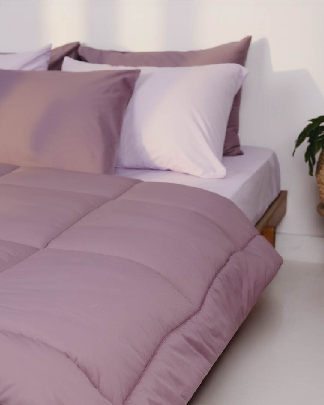 Egyptian Cotton Fitted Percale Bedsheet