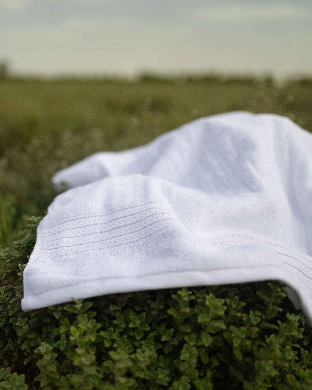 فوطة قطن مصري