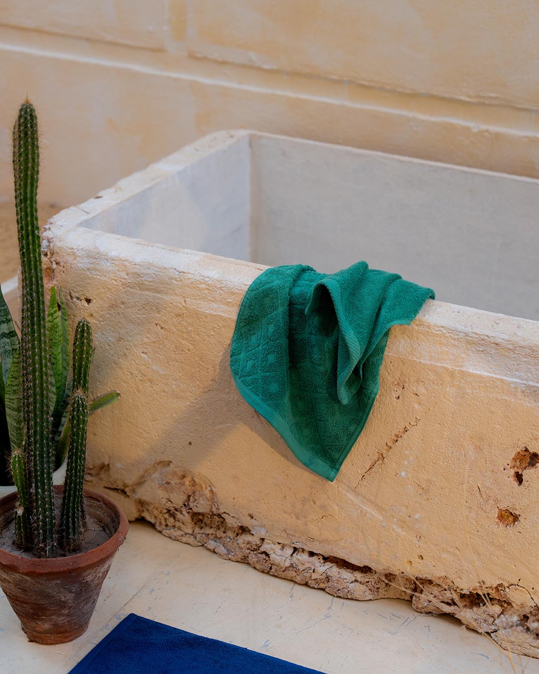 فوطة مطبخ جاكار